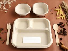 Disposable Tableware